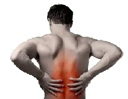 Quakertown Chiropractor