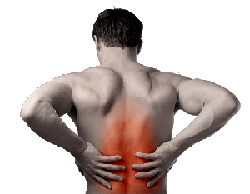 Doylestown Chiropractor and Chiropractic Care Doylestown Chiropractor